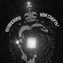 templar_void