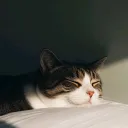 zuu_.926