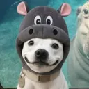 tokochallengesoleee