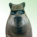 avatar Capybara