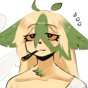 seky7124 avatar