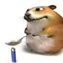 tmountaindog