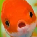 fishlollypop98 avatar