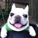 Аватар ars20808