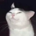 bit_lag