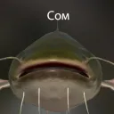 Аватар vaflya2222