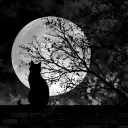 ghost_xues