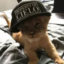 dubdob
