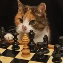 chessloverr avatar