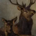 zynixnn