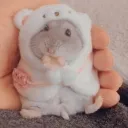 Jaya the hamster avatar