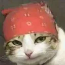 popodelfofo