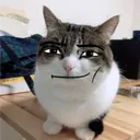 dev_noah2