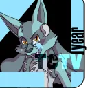 tooncattvbroadcasting