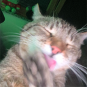 avatar [ARBH] MIP_MATTI