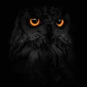 lethalowllol
