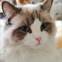 ellenlee_0710