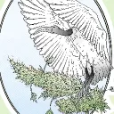 binchicken0958
