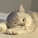 le_xjulie
