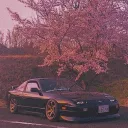 beaver_95