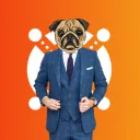 justincfo4508
