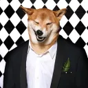 frankmiao