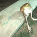 avatar !whereismoney?