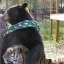 serge_kyselov