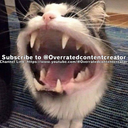 Sub 2 @overratedcontentcreator