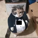 zadorking