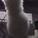 avatar 𝑙𝑖𝑙𝑙𝑦