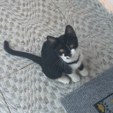 avatar 𝑙𝑖𝑙𝑙𝑦