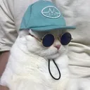 kappader4
