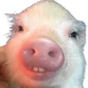 bacon_yay123