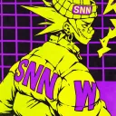 snn_werty