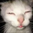 _goldraven_. avatar