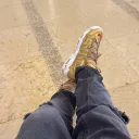 tachinine9