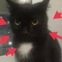 Аватар borborrr1