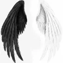 risha7237