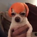 vindurek