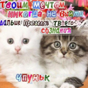 avatar 𝒮𝑅𝒱 𝐻𝑜𝓈𝒽𝒾  ☆