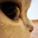 avatar ౨ৎ‧₊˚ ⋅ ༘˚