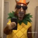 blicky999