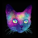intergalacitc_cat avatar