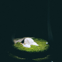avatar v