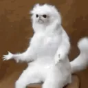 iwantberrys