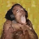 avatar c p l .   s h a r t