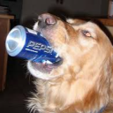 coopdogg30