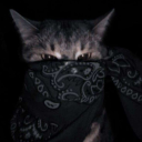 furkoo__