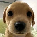 b_sil
